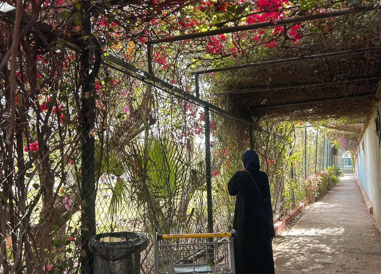 Pansiyon Fekhara Country Club Daire Marakeş