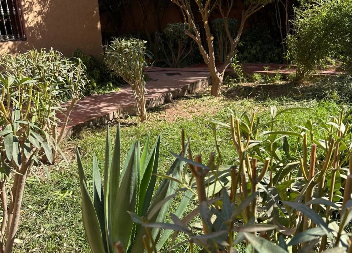 Fekhara Country Club Apartment Marrakesh 0*,  Morocco